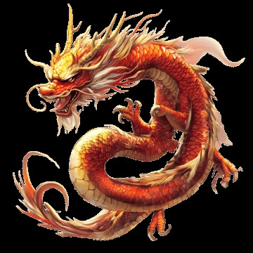 Naga5000 Point Profile Picture