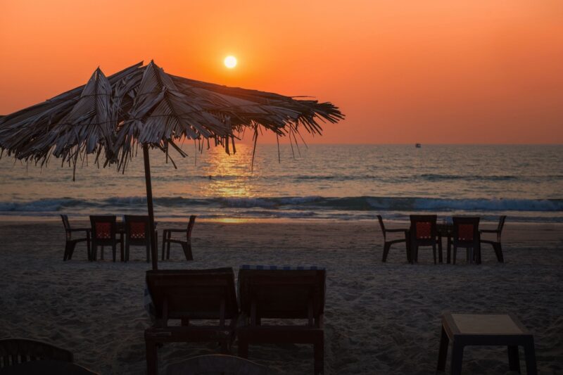 Yoga and Wellness Blog -