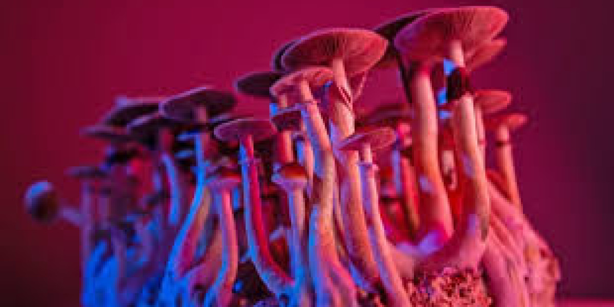 2026 Responsible Guide to Buy Magic Mushrooms Online in Canada
