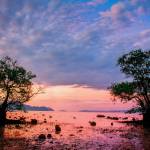 Marko Spark neo Profile Picture