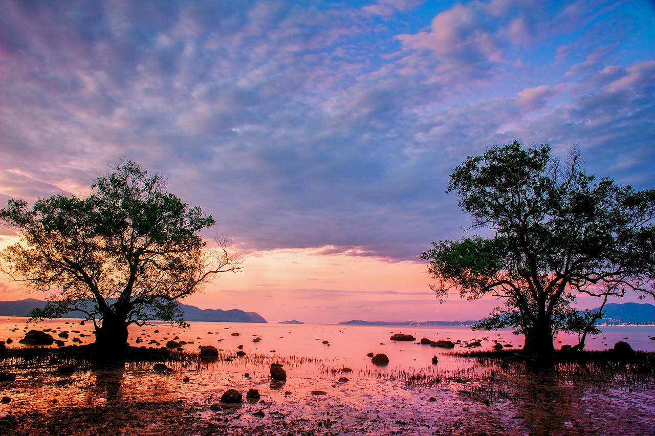 Marko Spark neo Profile Picture