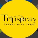 Tripspray Profile Picture