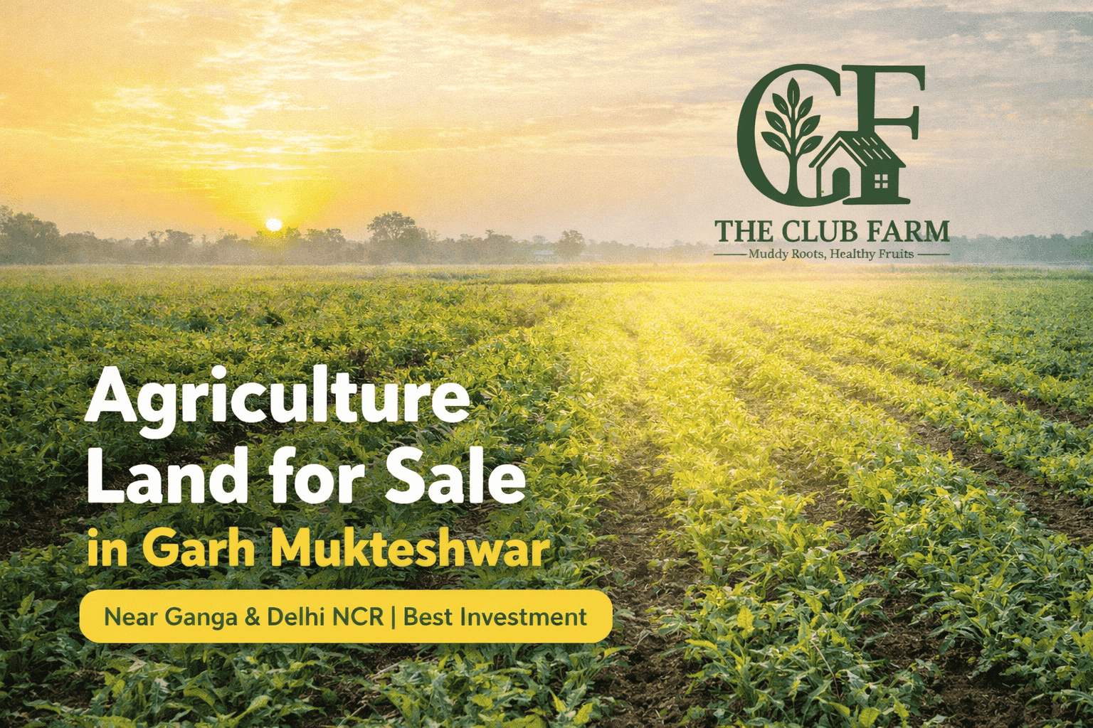 Invest Smartly: Premium Agriculture Land Opportunities in Garh...
