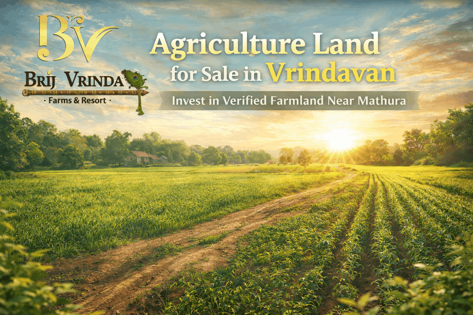 Agriculture Land for Sale in Vrindavan | Premium Farmland Plots by Brij Virnda - Bulk Post Ads
