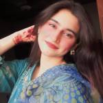 zainab siddiq profile picture