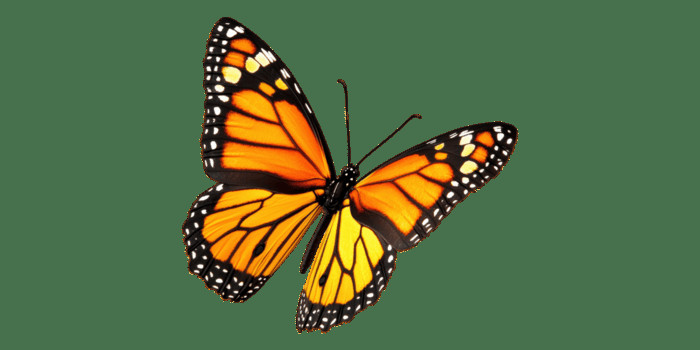 Jerryjerry Jerry Profile Picture