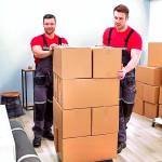 umar shahzad Profile Picture