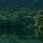 Texas Triangle Home Buyers Profile Picture