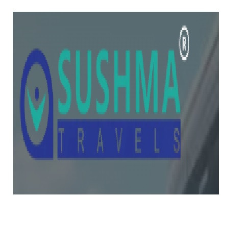 sushma travels Profile Picture