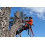 Suvo profile picture