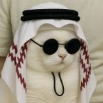 Arman khan Profile Picture