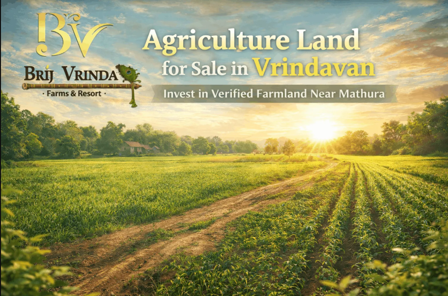 Agricultural Land for Sale in Vrindavan: Invest in Nature, Peace & Prosperity with The Cub Farm – GuestCountry