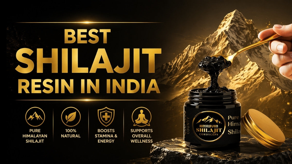 Best Shilajit Resin in India (2026 Guide): Choose the Right One  – Wellness County