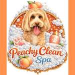 Peachy Clean Spa LLC Profile Picture