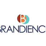 Brandience Profile Picture
