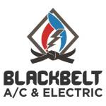 Blackbelt AC and Electrical Profile Picture