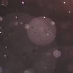 Prachi Singh profile picture