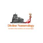 Diviine Numerology Profile Picture