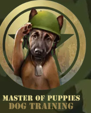 master of puppies Profile Picture