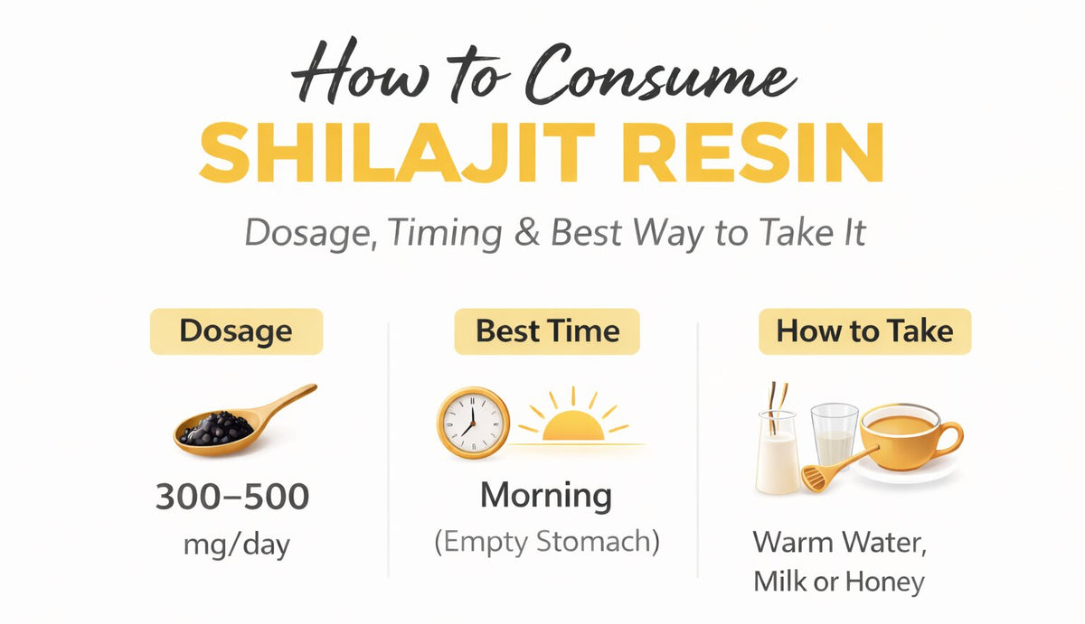 Shilajit Consumption Guide for Maximum Benefits  – Wellness County