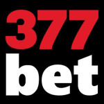 377bet Profile Picture