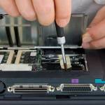 kaniaaa dass Profile Picture