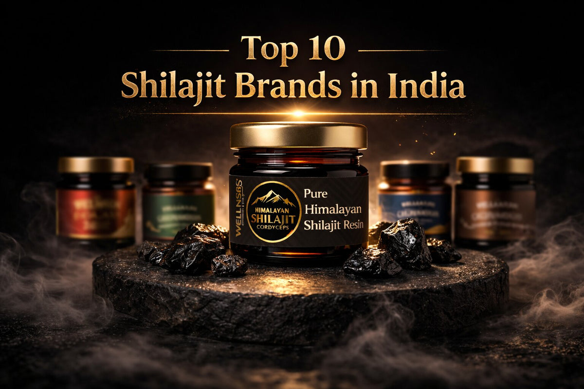 Top 10 Shilajit Brands in India [Updated 2026]  – Wellness County