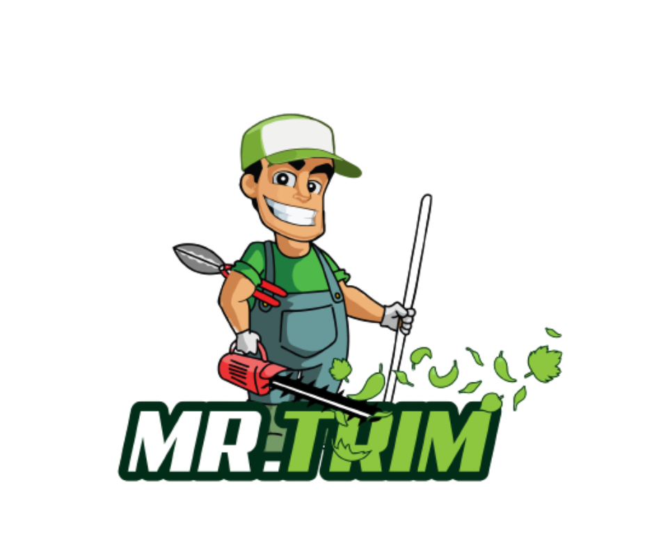 Professional trimming shrubs | Landscaping Services