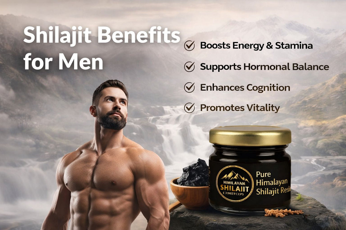7 Health Benefits of Shilajit for Men  – Wellness County