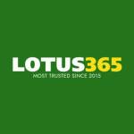lotus 365 profile picture