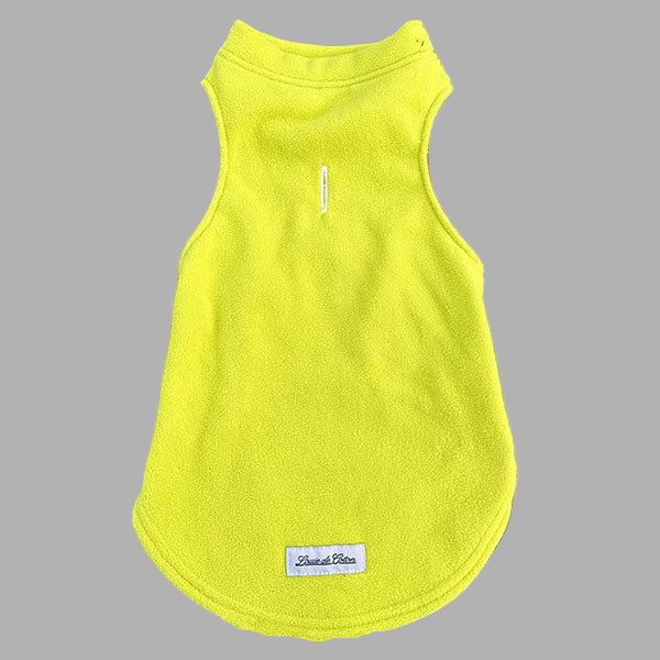 Stylish Cats Apparel and Cat Accessories Clothes Every Pet Parent Will Love – Telegraph