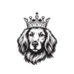 Tudor Energy LLC Profile Picture