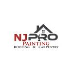 njpropainters Profile Picture