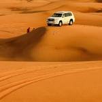 Desert safari Safari Safari Profile Picture
