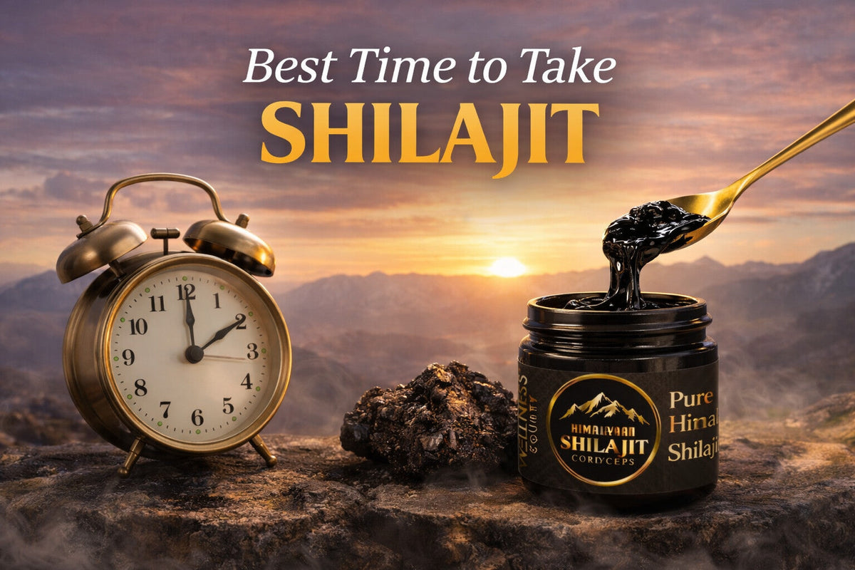 Best Time to Take Shilajit: Dosage, Timing & Tips  – Wellness County