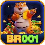 BR001 Profile Picture