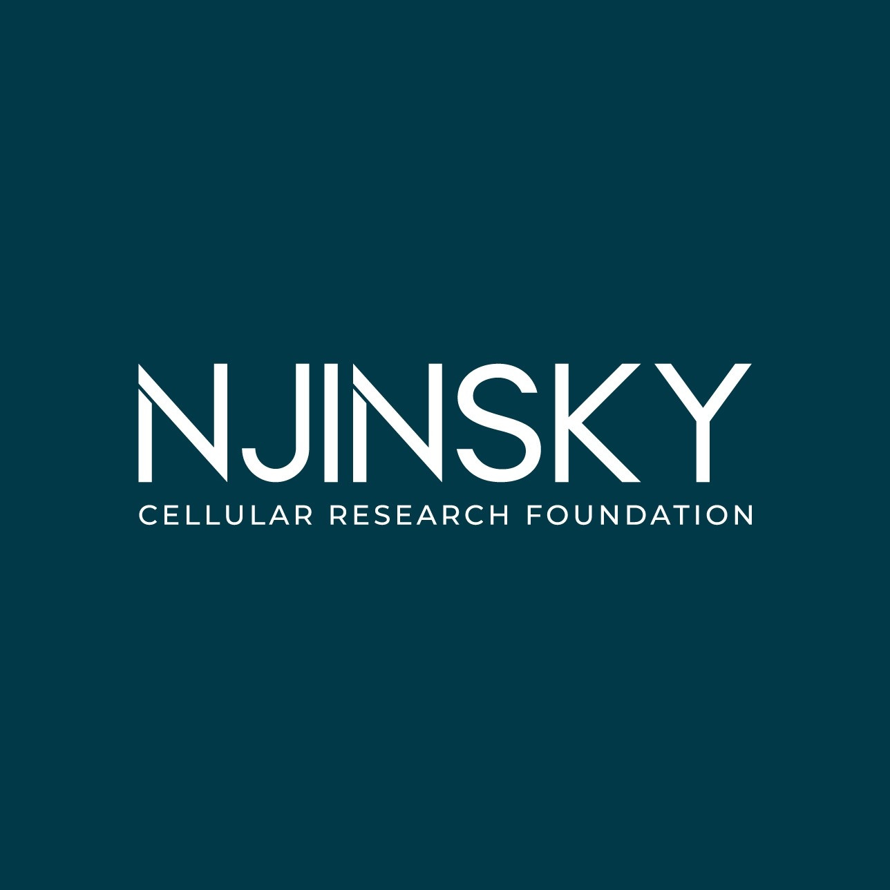 Njinsky Foundation Foundation Profile Picture