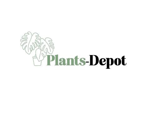 Plants Depot Profile Picture
