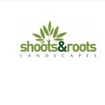 Shootsandroots wales Profile Picture