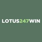 lotus247loginid Profile Picture
