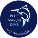 Blue Marlin Dive Profile Picture