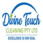 Divine Touch Cleaning Profile Picture
