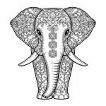 Paithani Saree Profile Picture
