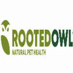 Rooted Owl Profile Picture