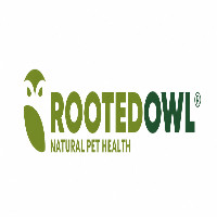 Rooted Owl Profile Picture