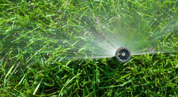 Why Efficient Irrigation Reduces Landscaping Expenses
