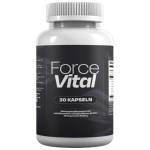 Force Vital2026 Profile Picture