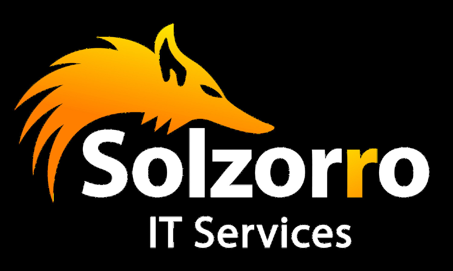 Solzorro IT Services Profile Picture
