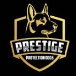 Prestige  Protection Dogs profile picture