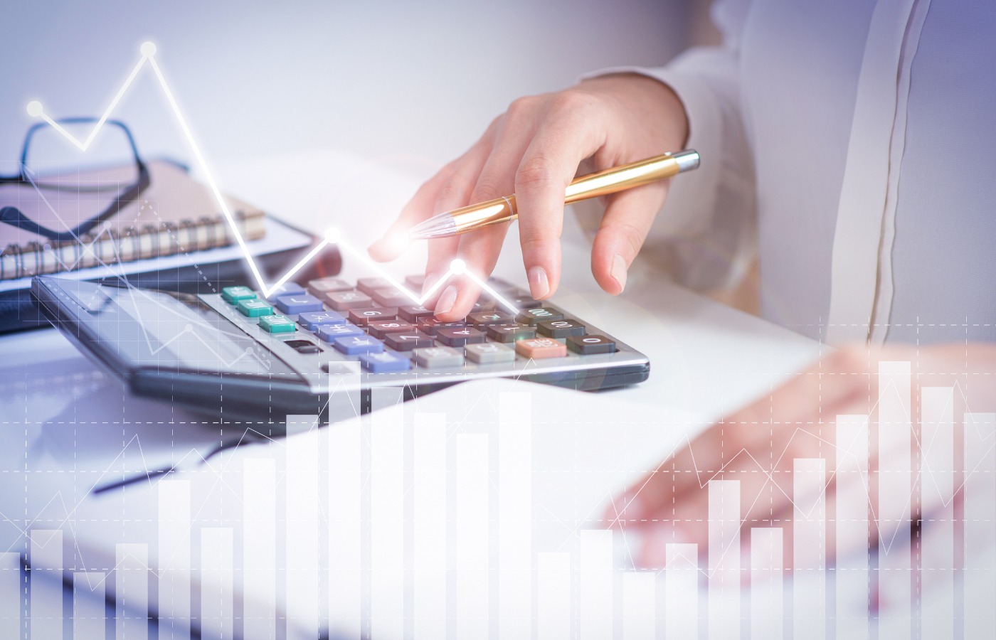 E Accounting Training Institute In Pitampura Delhi | Computer Accounting Institute In Pitampura Delhi | NICE IT SERVICES
